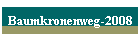 Baumkronenweg-2008