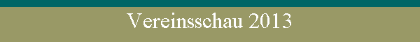 Vereinsschau 2013