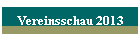 Vereinsschau 2013