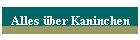 Alles �ber Kaninchen