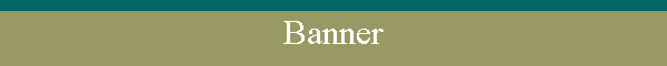 Banner