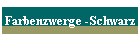Farbenzwerge -Schwarz