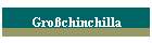 Gro�chinchilla