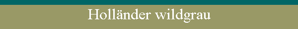 Hollnder wildgrau