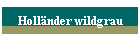 Hollnder wildgrau