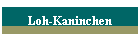 Loh-Kaninchen