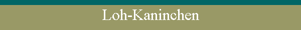 Loh-Kaninchen