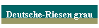 Deutsche-Riesen grau