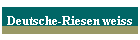 Deutsche-Riesen weiss