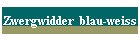 Zwergwidder  blau-weiss
