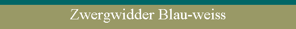 Zwergwidder Blau-weiss