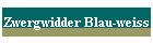 Zwergwidder Blau-weiss