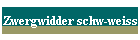 Zwergwidder schw-weiss